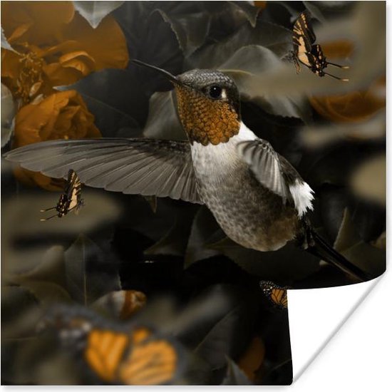 Poster Kolibrie - Bos - Vlinders - 100x100 cm XXL