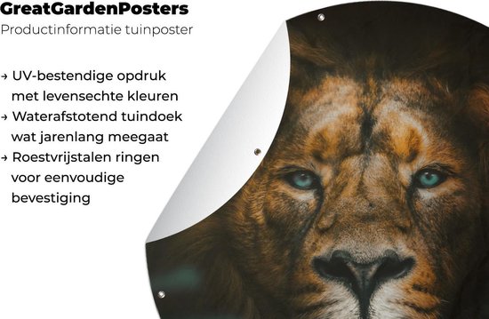 Animaux du Cercle de Jardin - Lion - Prédateur - 120x120 cm - Affiche de Jardin Ronde - Extérieur - XXL