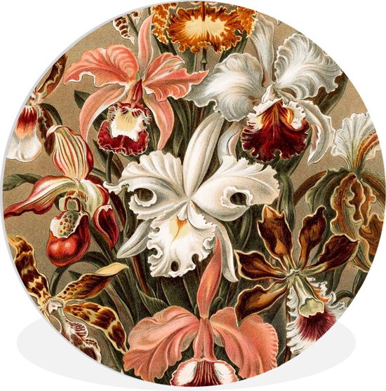 Wandcirkel - Muurcirkel Binnen - ⌀ 30 cm - Kunststof - Orchidee - Ernst Haeckel