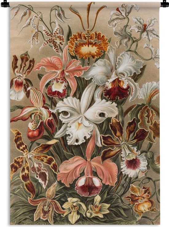 Wandkleed - Wanddoek - Orchidee - Ernst Haeckel - 120x180 cm - Wandtapijt