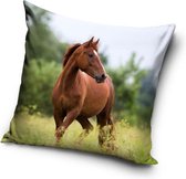 kussen Horse junior 40 x 40 cm katoen bruin/groen