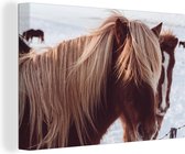 Canvas Schilderij Paarden - Sneeuw - Bruin - 30x20 cm - Wanddecoratie