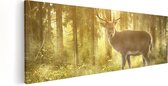 Artaza Canvas Schilderij Hert In Bos Met Zon - 60x20 - Foto Op Canvas - Canvas Print