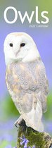 Owls 2022 Slimline Calendar
