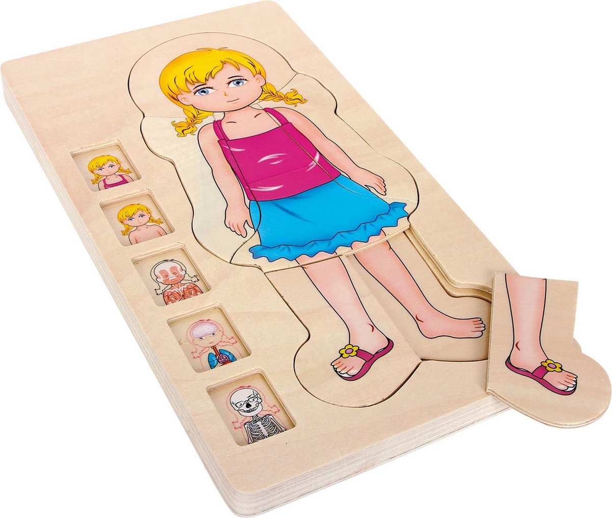 small foot - Layer Puzzle Anatomy Girl | bol.com