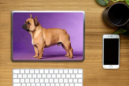 Sticker pour ordinateur portable - 10,1 pouces - Bouledogue français avec un fond violet