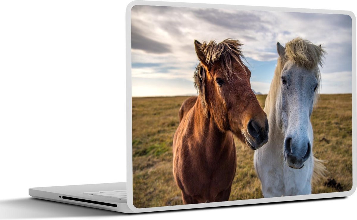 Afbeelding van product SleevesAndCases  Laptop sticker - 17.3 inch - IJslandse pony's in een weiland