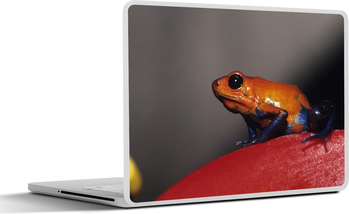 Afbeelding van product SleevesAndCases  Laptop sticker - 15.6 inch - Oranje kikker op een rode achtergrond
