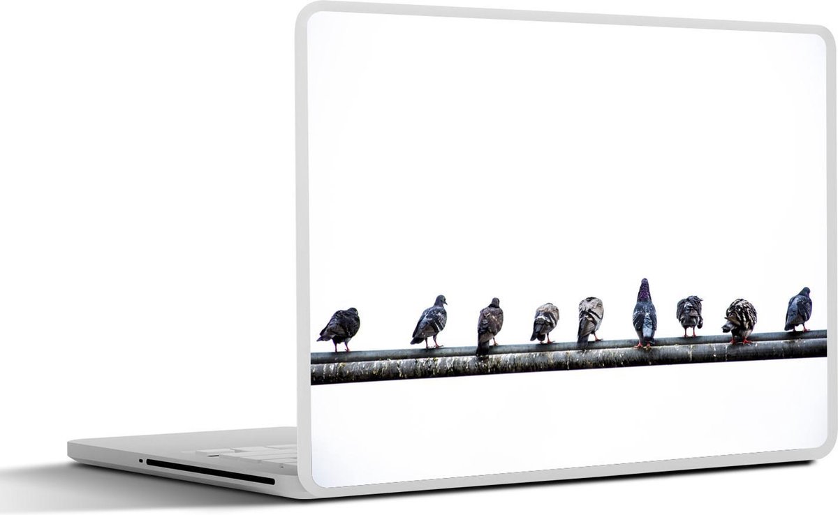 Afbeelding van product SleevesAndCases  Laptop sticker - 12.3 inch - Een rij duiven zittend op een loden pijp