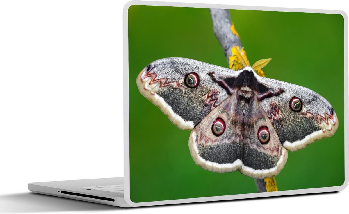 Afbeelding van product SleevesAndCases  Laptop sticker - 11.6 inch - Grote nachtpauwoog op tak