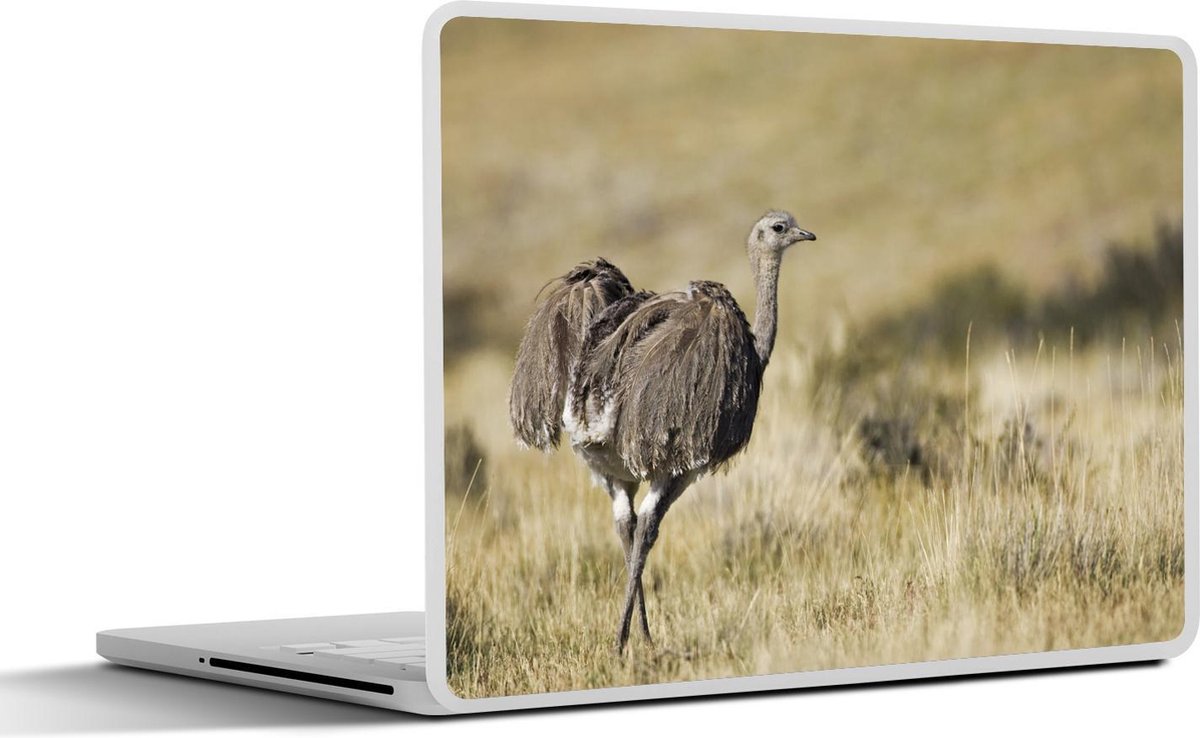 Afbeelding van product SleevesAndCases  Laptop sticker - 10.1 inch - Een Darwins nandoe loopt door het droge gras