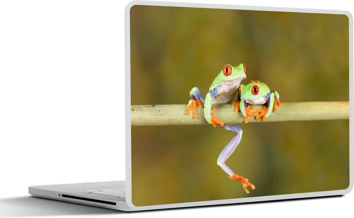 Afbeelding van product SleevesAndCases  Laptop sticker - 13.3 inch - Kikker - Tak - Reptiel