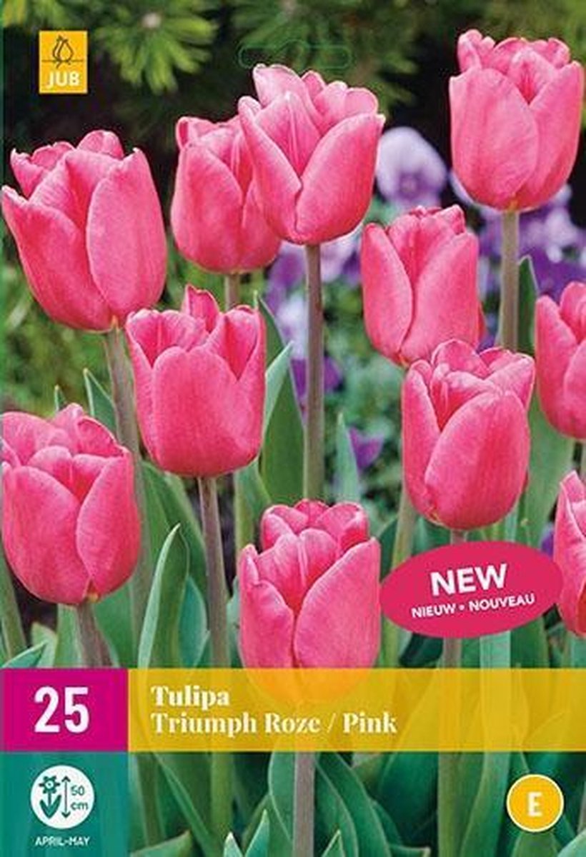 Jub Holland - bloembollen - Tulpen Triumph roze - maat 11/12 - 25 stuks