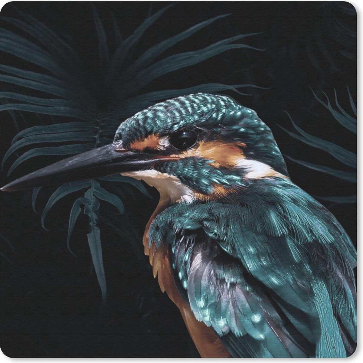 Muismat 20x20 cm - Mousepad IJsvogel - Vogel - Groen - Muismatten