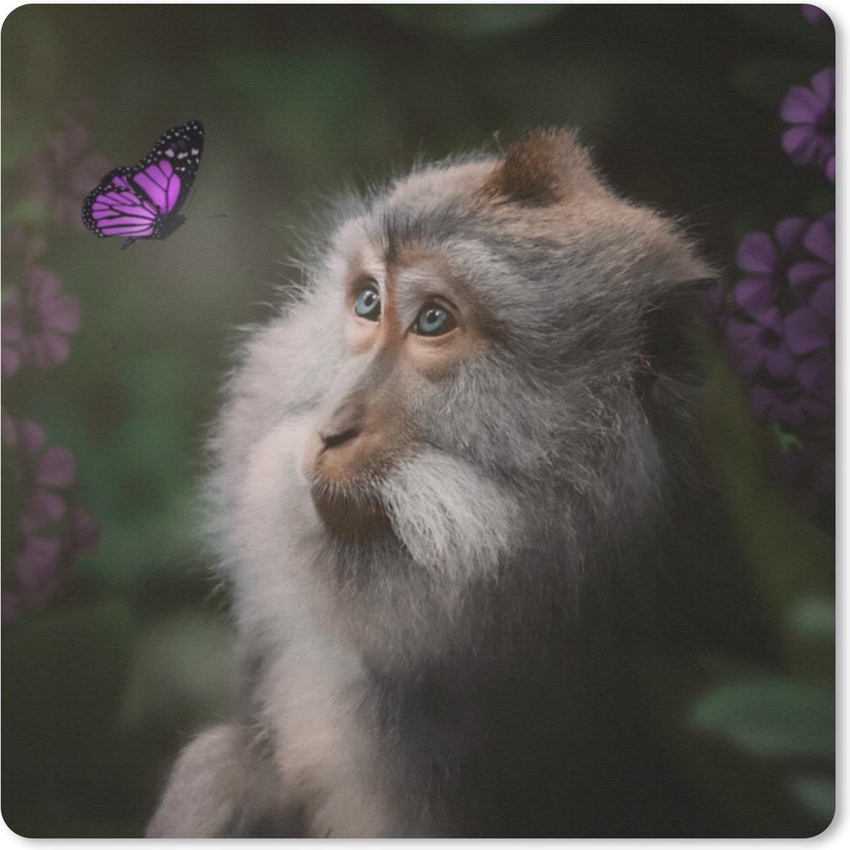 Muismat 30x30 cm - Mousepad Vlinder - Dieren - Aap - Muismatten