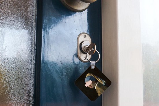 Porte-clés - Boucle d'oreille fille à la perle - Vermeer - Art - Plastique