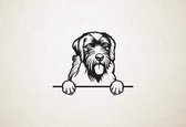 Wirehaired Pointing Griffon - Griffon Korthals - hond met pootjes - M - 60x75cm - Zwart - wanddecoratie