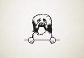 Havanezer - Havanese - hond met pootjes - M - 60x72cm - Zwart - wanddecoratie