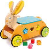 Houten Konijn Ride-on met vormenstoof - rubberen bandjes - Houten speelgoed vanaf 1 jaar
