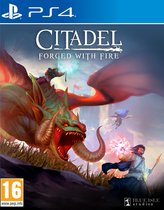 Citadel: Forged with Fire