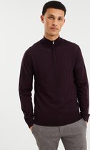 WE Fashion Heren trui van merinowol met rits