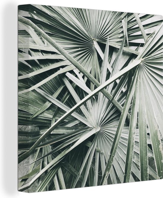 Canvas Schilderij Tropical - Palmblad - Groen - 20x20 cm - Wanddecoratie