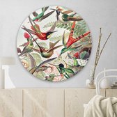 Muurcirkel Hummingbirds Round - Plexiglas - Meerdere Afmetingen & Prijzen