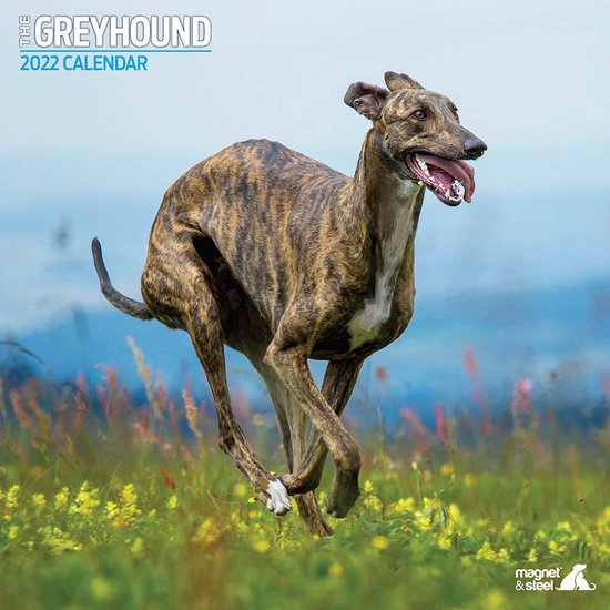 Greyhound Kalender 2022