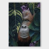 Poster Jungle Orangutan - Dibond - Meerdere Afmetingen & Prijzen | Wanddecoratie - Interieur - Art - Wonen - Schilderij - Kunst
