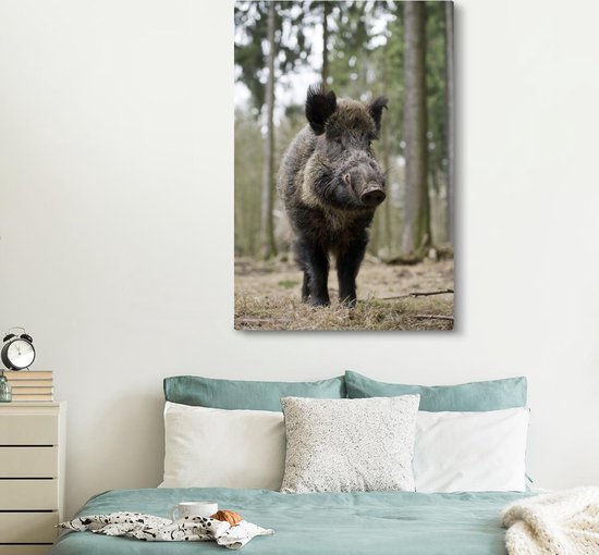 Sanglier parmi les arbres 120x180 cm - Tirage photo sur Toile (Décoration murale salon / chambre) / Animaux sauvages Peintures XXL / Groot format!