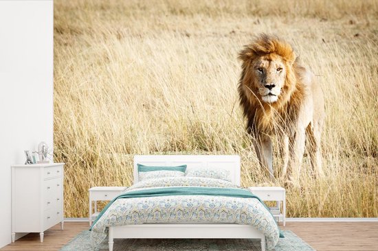 Papier Peint - Papier peint photo Lions - Afrique - Herbe - Largeur 360 cm x Hauteur 240 cm