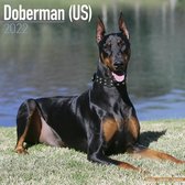 Dobermans - Dobermänner 2022 - 18-Monatskalender mit freier