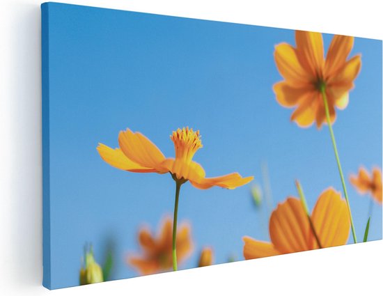 Artaza Peinture sur toile Fleurs de Cosmea Oranje - 40 x 20 - Klein - Photo sur toile - Impression sur toile