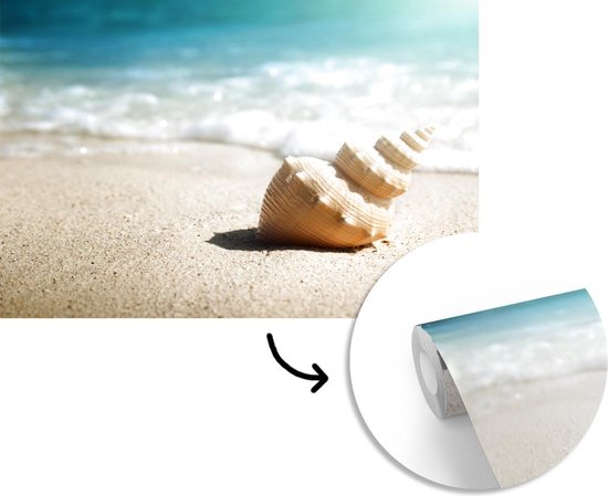 Papier peint - Papier peint photo Coquillage - Plage - Mer - Largeur 420 cm x hauteur 280 cm