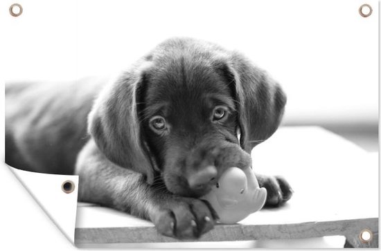 D coration de jardin Chiot Labrador Retriever noir et blanc