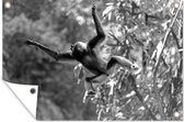 Muurdecoratie Springende aap in de jungle - zwart wit - 180x120 cm - Tuinposter - Tuindoek - Buitenposter