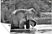 Muurdecoratie Badderende olifant - zwart wit - 180x120 cm - Tuinposter - Tuindoek - Buitenposter