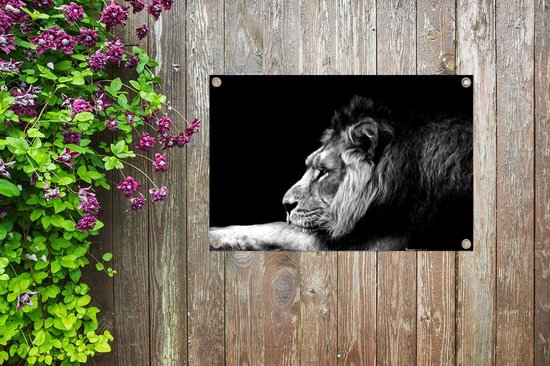 Affiches de jardin Posters de jardin Représentation d'un lion en forme de dessin - noir et blanc - 90x60 cm - Toile de jardin
