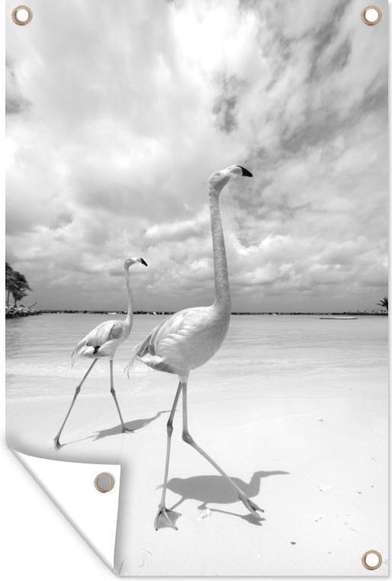 Tuinposter - Tuindoek - Tuinposters buiten - Twee trotse flamingo's lopen over het strand - zwart wit - 80x120 cm - Tuin