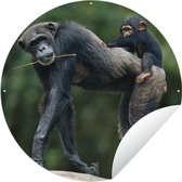 Tuincirkel Chimpansee - Rug - Kind - 120x120 cm - Ronde Tuinposter - Buiten XXL / Groot formaat!