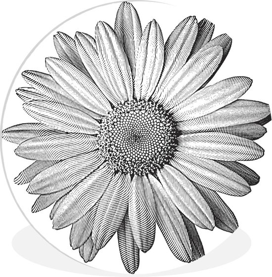 Cercle Mural - Cercle Mural Intérieur - Marguerite - Croquis - Bloem - ⌀ 140 cm - Décoration murale - Peintures Ronds
