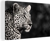 Peintures sur toile Léopard - Zwart - Wit - Afrique - 120x80 cm - Décoration murale