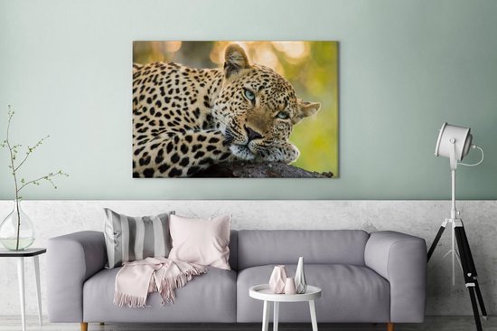 Peintures sur toile Léopard - Nature - Coucher de soleil - 120x80 cm - Décoration murale