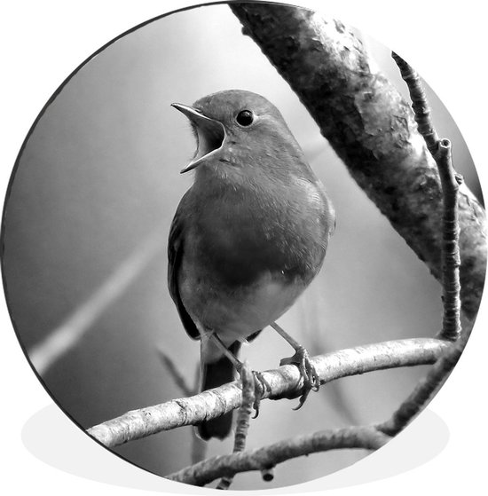 wand decoratie 92x71 cm boom en vogels hout/metaal wand decoratie 92x71 cm boom en vogels hout/metaal