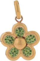 Hanger Dames Folli Follie 3P13T008RE (2 cm)