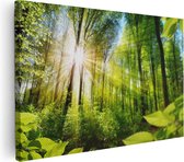 Artaza Canvas Schilderij Weg Omringd Met Bomen In Het Bos - 60x40 - Foto Op Canvas - Canvas Print