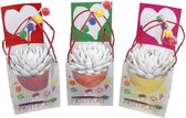 Paint Your Plant ® (set van 3) – ↨ 12cm – ⌀ 11cm