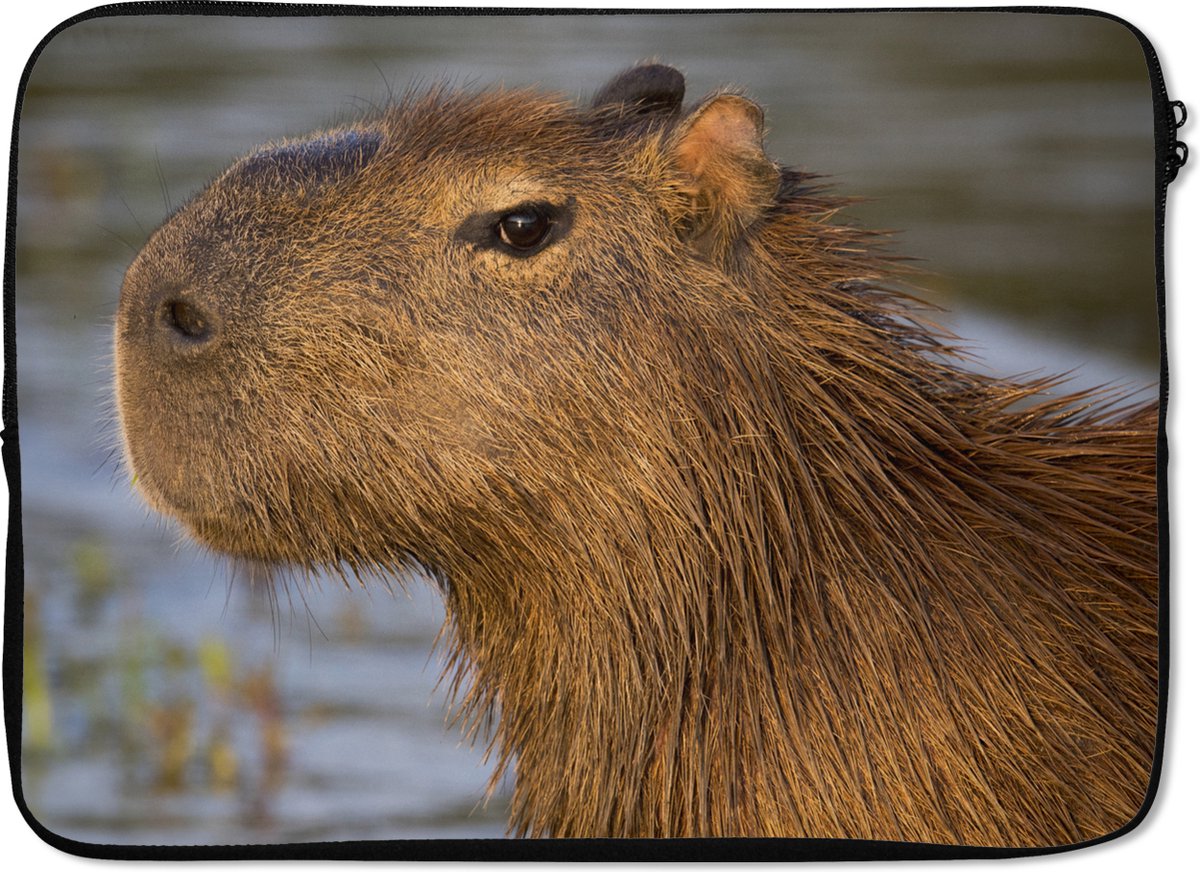 Laptophoes 14 inch - Een close up van het hoofd van een Capibara - Laptop sleeve - Binnenmaat 33x23 cm - Zwarte achterkant