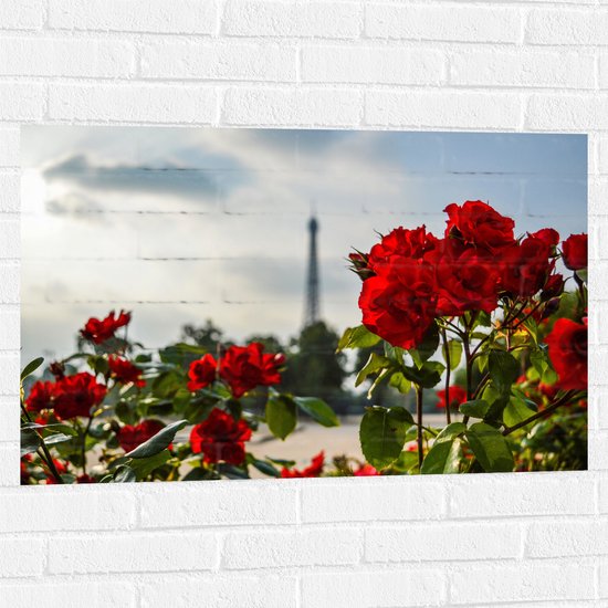 Muursticker - Rode Rozenstruik voor Eiffeltoren in Parijs, Frankrijk - 90x60 cm Foto op Muursticker