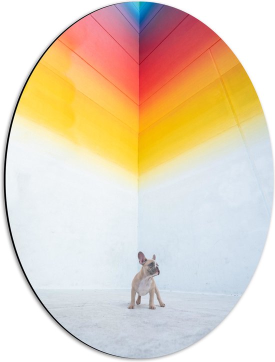 WallClassics - Dibond Ovaal - Puppy onder Regenboog Street Art - 42x56 cm Foto op Ovaal (Met Ophangsysteem)